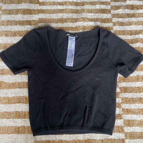 Zara Cropped Tee - Picture 1 of 3